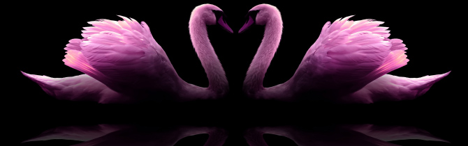 Párkapcsolati coaching